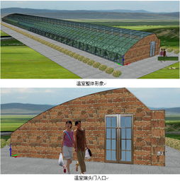 490平方米日光溫室型霧培蔬菜與芽苗菜工廠化生產(chǎn)設計方案