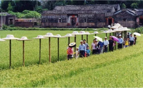 農(nóng)業(yè)為國(guó)之根本 洞悉未來農(nóng)業(yè)發(fā)展的五大“小趨勢(shì)”